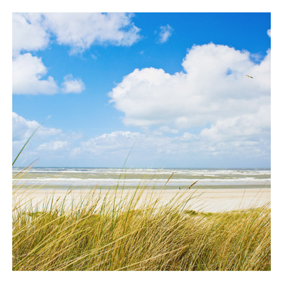 Aluminium Print - Wandbild An der Nordseek&uuml;ste - Quadrat 1:1