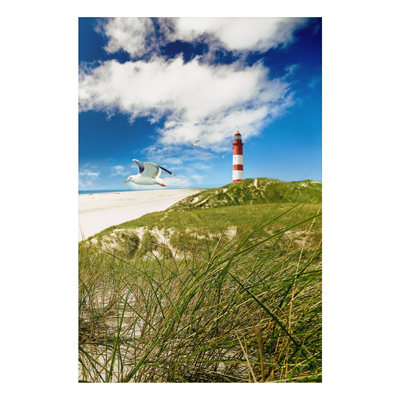 Aluminium Print - Wandbild Dune Breeze - Hoch 3:2