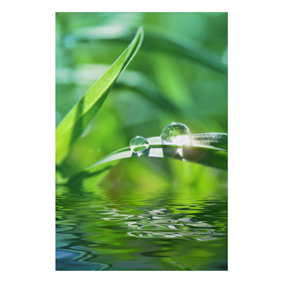 Aluminium Print - Wandbild Green Ambiance II - Hoch 3:2