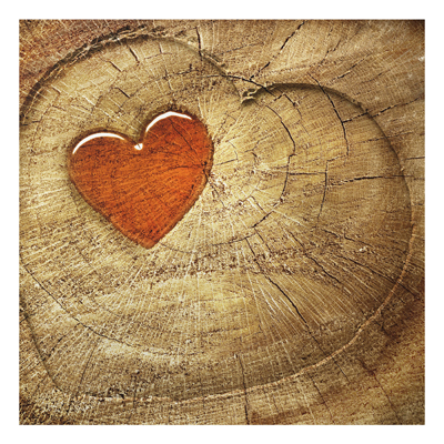 Aluminium Print - Wandbild Natural Love - Quadrat 1:1