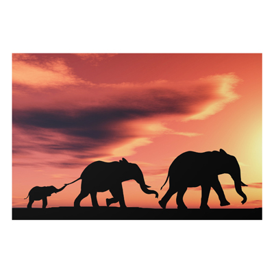 Aluminium Print - Wandbild Savannah Elefant Family - Quer 2:3