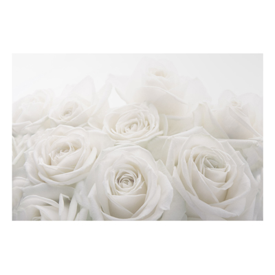 Aluminium Print - Wandbild Wedding Roses - Quer 2:3