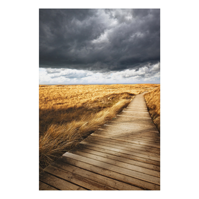 Aluminium Print - Wandbild Weg in den Dünen - Hoch 3:2
