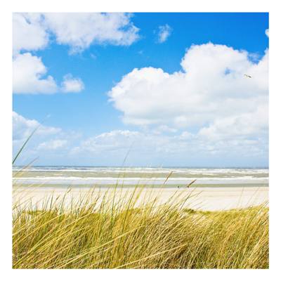 Forex Fine Art Print - Wandbild An der Nordseeküste - Quadrat 1:1