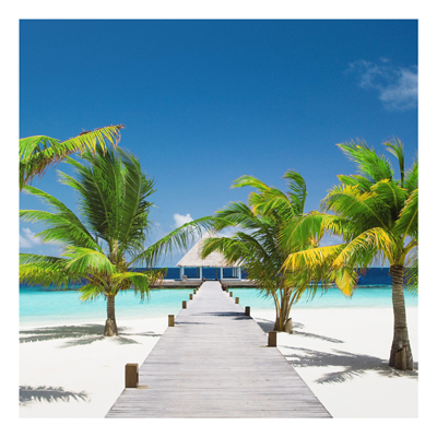 Forex Fine Art Print - Wandbild Catwalk to Paradise - Quadrat 1:1