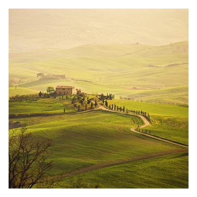 Forex Fine Art Print - Wandbild Chianti Toskana - Quadrat 1:1