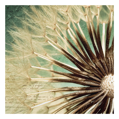 Forex Fine Art Print - Wandbild Closer than before - Quadrat 1:1