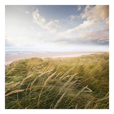 Forex Fine Art Print - Wandbild D&uuml;nentraum - Quadrat 1:1