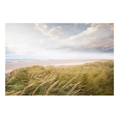 Forex Fine Art Print - Wandbild Dünentraum - Quer 2:3