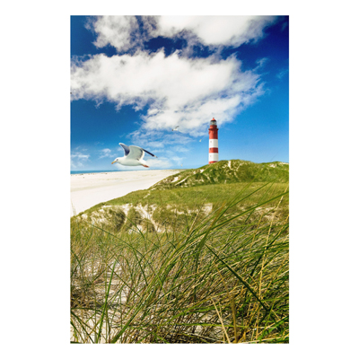 Forex Fine Art Print - Wandbild Dune Breeze - Hoch 3:2