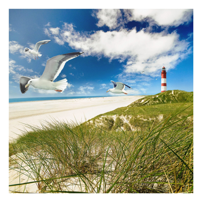Forex Fine Art Print - Wandbild Dune Breeze - Quadrat 1:1