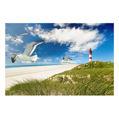 Forex Fine Art Print - Wandbild Dune Breeze - Quer 2:3