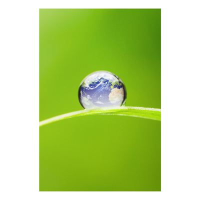 Forex Fine Art Print - Wandbild Gr&uuml;ne Hoffnung - Hoch 3:2