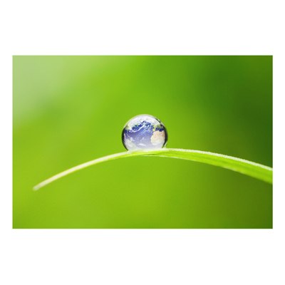 Forex Fine Art Print - Wandbild Grüne Hoffnung - Quer 2:3