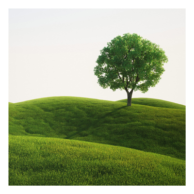 Forex Fine Art Print - Wandbild Grüne Ruhe - Quadrat 1:1