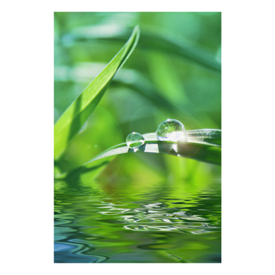 Forex Fine Art Print - Wandbild Green Ambiance II - Hoch 3:2