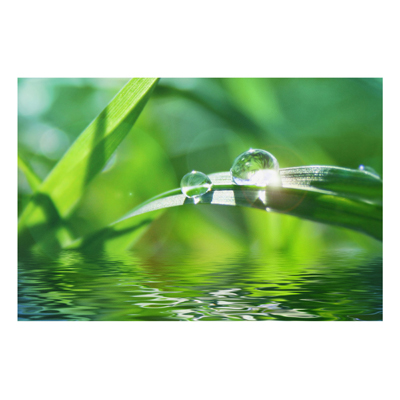 Forex Fine Art Print - Wandbild Green Ambiance II - Quer 2:3