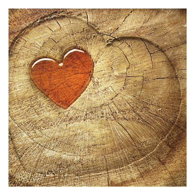 Forex Fine Art Print - Wandbild Natural Love - Quadrat 1:1