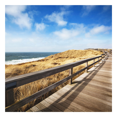 Forex Fine Art Print - Wandbild Nordseespaziergang - Quadrat 1:1