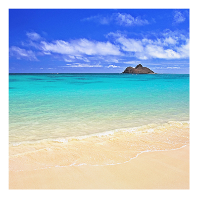 Forex Fine Art Print - Wandbild Paradise Beach - Quadrat 1:1