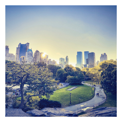 Forex Fine Art Print - Wandbild Peaceful Central Park - Quadrat 1:1