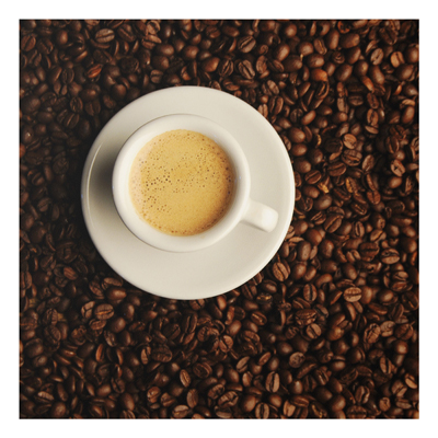 Forex Fine Art Print - Wandbild Roasted Freshly - Quadrat 1:1