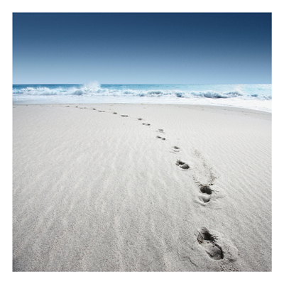 Forex Fine Art Print - Wandbild Spuren im Sand - Quadrat 1:1