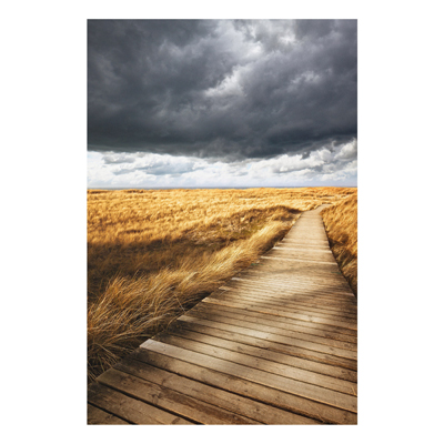 Forex Fine Art Print - Wandbild Weg in den Dünen - Hoch 3:2