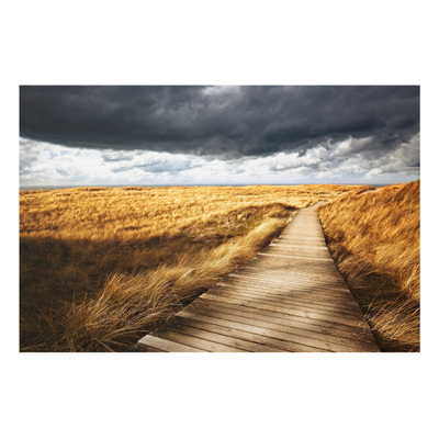 Forex Fine Art Print - Wandbild Weg in den D&uuml;nen - Quer 2:3
