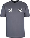 Swallows