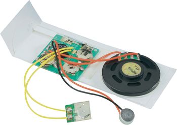 VOICE-RECORDER F. GRUßKARTEN